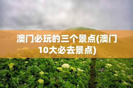 澳门必玩的三个景点(澳门10大必去景点)