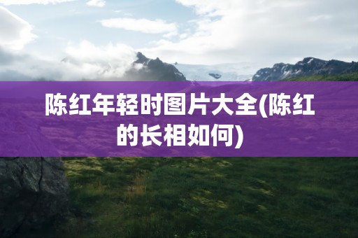 陈红年轻时图片大全(陈红的长相如何)