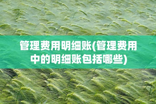 管理费用明细账(管理费用中的明细账包括哪些)