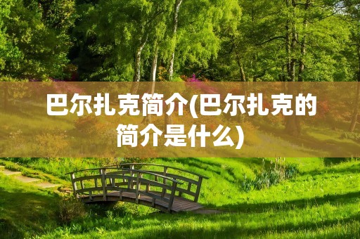 巴尔扎克简介(巴尔扎克的简介是什么)