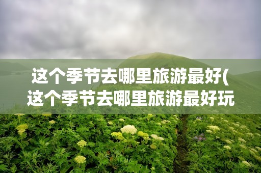 这个季节去哪里旅游最好(这个季节去哪里旅游最好玩)