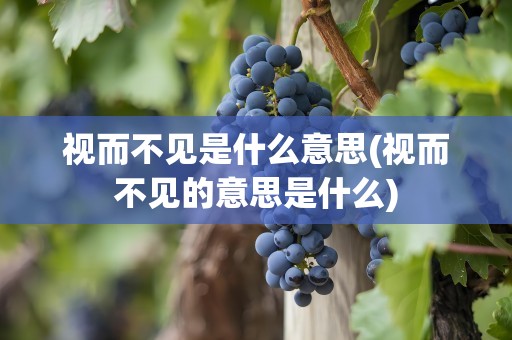 视而不见是什么意思(视而不见的意思是什么)