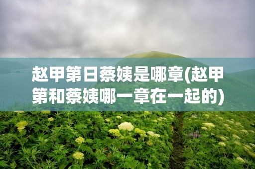 赵甲第日蔡姨是哪章(赵甲第和蔡姨哪一章在一起的)