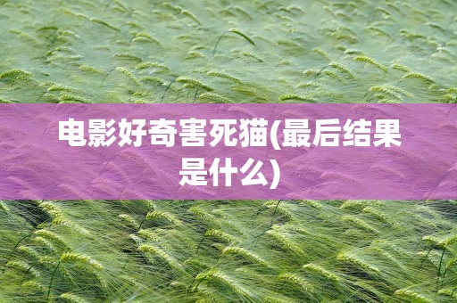 电影好奇害死猫(最后结果是什么)