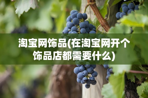 淘宝网饰品(在淘宝网开个饰品店都需要什么)