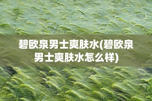 碧欧泉男士爽肤水(碧欧泉男士爽肤水怎么样)