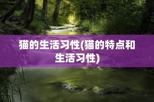 猫的生活习性(猫的特点和生活习性)