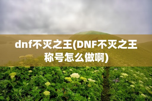 dnf不灭之王(DNF不灭之王称号怎么做啊)