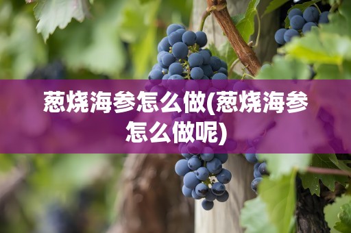葱烧海参怎么做(葱烧海参怎么做呢)