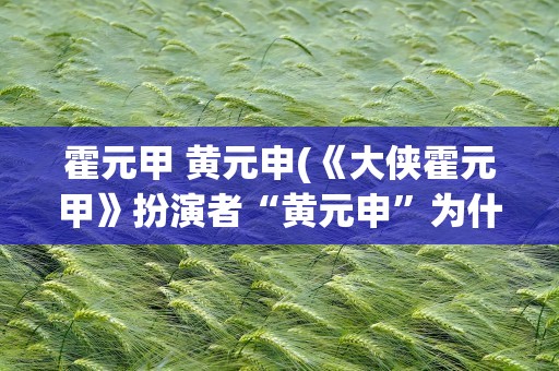 霍元甲 黄元申(《大侠霍元甲》扮演者“黄元申”为什么要出家)