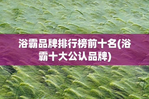 浴霸品牌排行榜前十名(浴霸十大公认品牌)