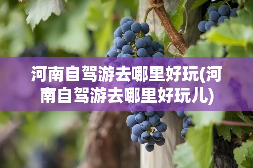 河南自驾游去哪里好玩(河南自驾游去哪里好玩儿)