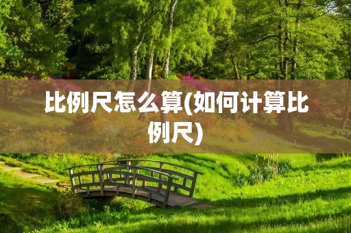 比例尺怎么算(如何计算比例尺)