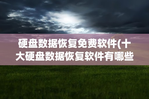 硬盘数据恢复免费软件(十大硬盘数据恢复软件有哪些)