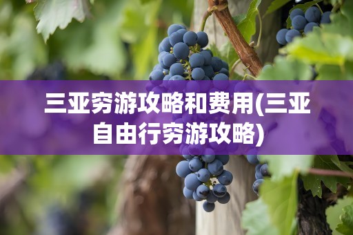 三亚穷游攻略和费用(三亚自由行穷游攻略)
