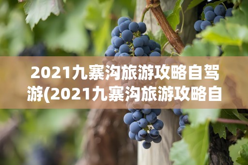 2021九寨沟旅游攻略自驾游(2021九寨沟旅游攻略自驾游路线)