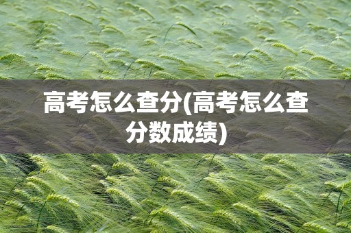 高考怎么查分(高考怎么查分数成绩)
