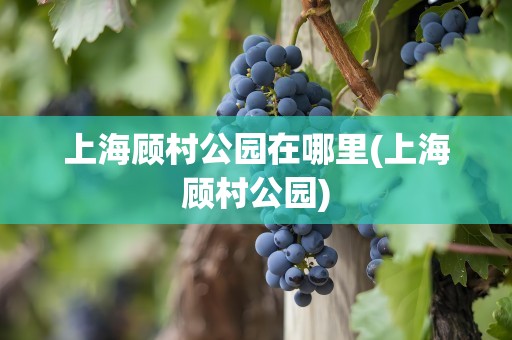 上海顾村公园在哪里(上海顾村公园)