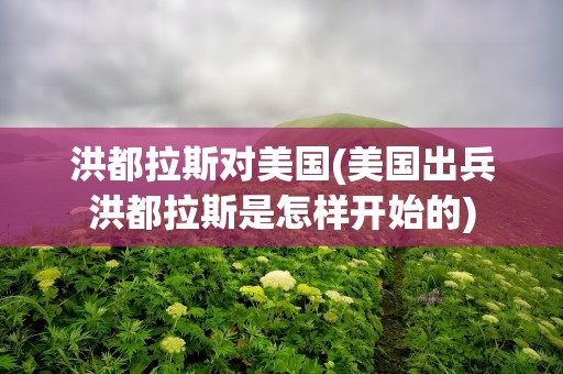 洪都拉斯对美国(美国出兵洪都拉斯是怎样开始的)
