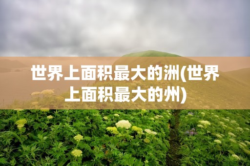 世界上面积最大的洲(世界上面积最大的州)