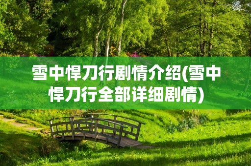 雪中悍刀行剧情介绍(雪中悍刀行全部详细剧情)