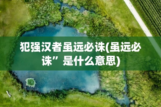 犯强汉者虽远必诛(虽远必诛”是什么意思)