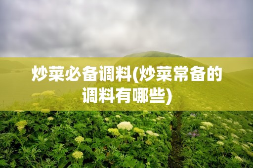 炒菜必备调料(炒菜常备的调料有哪些)
