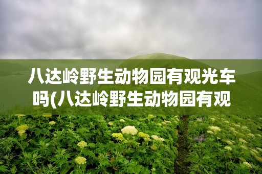 八达岭野生动物园有观光车吗(八达岭野生动物园有观光车吗现在)