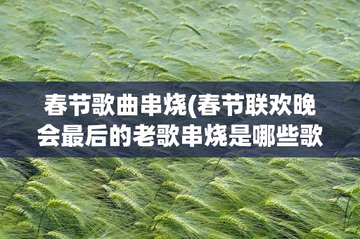 春节歌曲串烧(春节联欢晚会最后的老歌串烧是哪些歌曲)