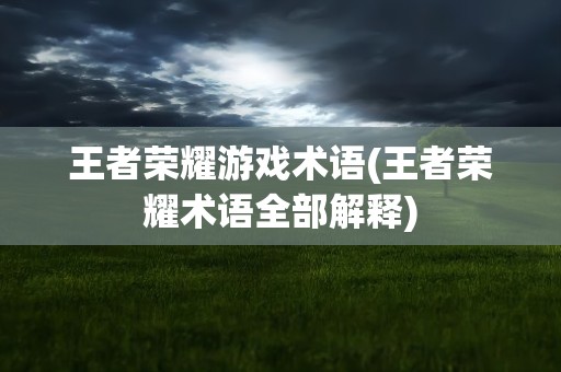 王者荣耀游戏术语(王者荣耀术语全部解释)