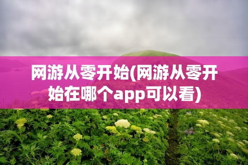网游从零开始(网游从零开始在哪个app可以看)
