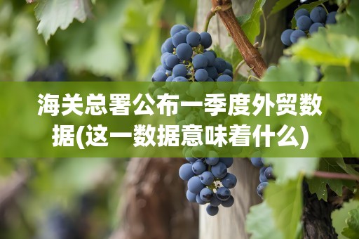 海关总署公布一季度外贸数据(这一数据意味着什么)