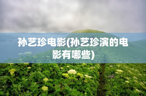 孙艺珍电影(孙艺珍演的电影有哪些)