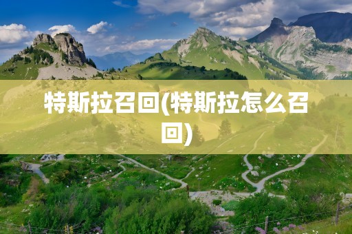 特斯拉召回(特斯拉怎么召回)