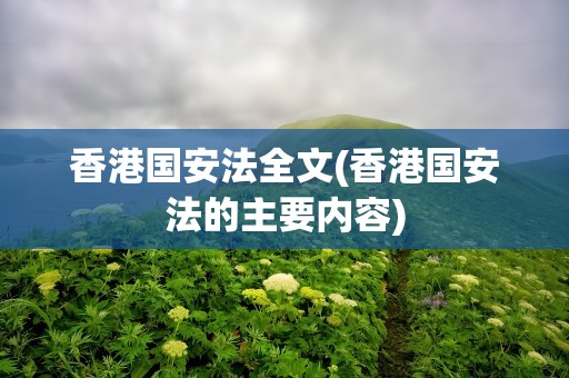 香港国安法全文(香港国安法的主要内容)