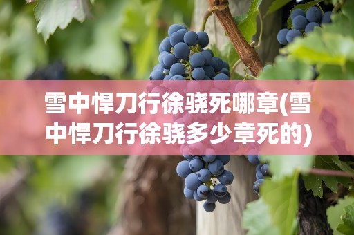 雪中悍刀行徐骁死哪章(雪中悍刀行徐骁多少章死的)