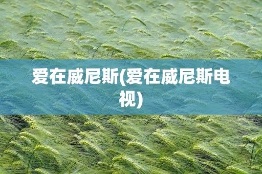 爱在威尼斯(爱在威尼斯电视)