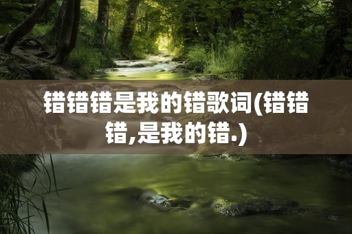 错错错是我的错歌词(错错错,是我的错.)