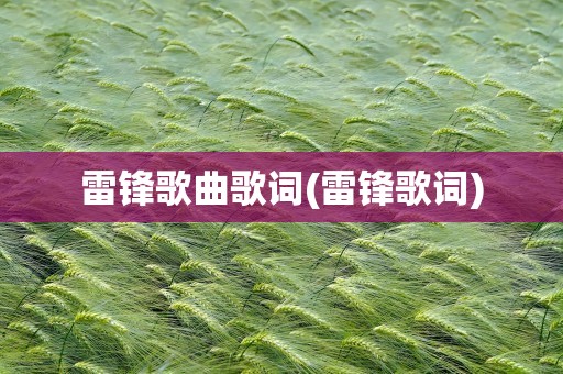 雷锋歌曲歌词(雷锋歌词)