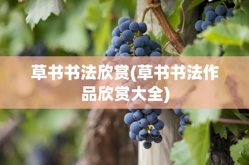 草书书法欣赏(草书书法作品欣赏大全)