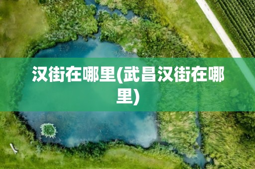 汉街在哪里(武昌汉街在哪里)