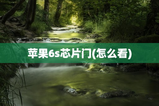 苹果6s芯片门(怎么看)
