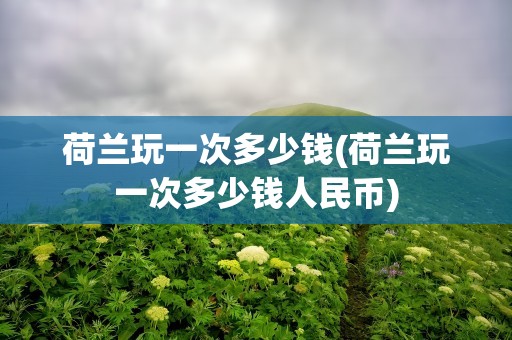 荷兰玩一次多少钱(荷兰玩一次多少钱人民币)