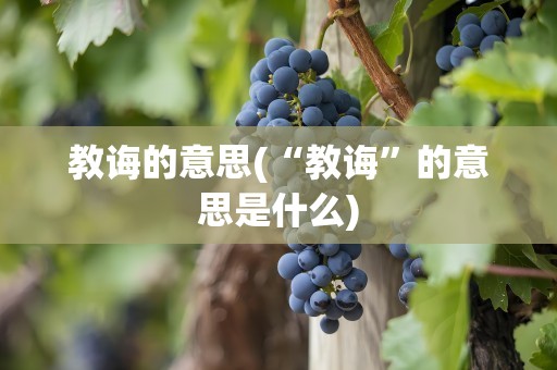 教诲的意思(“教诲”的意思是什么)