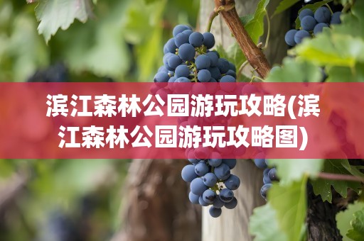 滨江森林公园游玩攻略(滨江森林公园游玩攻略图)