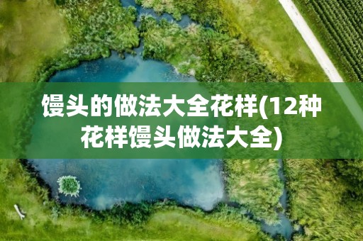 馒头的做法大全花样(12种花样馒头做法大全)