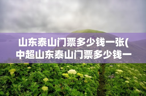 山东泰山门票多少钱一张(中超山东泰山门票多少钱一张)