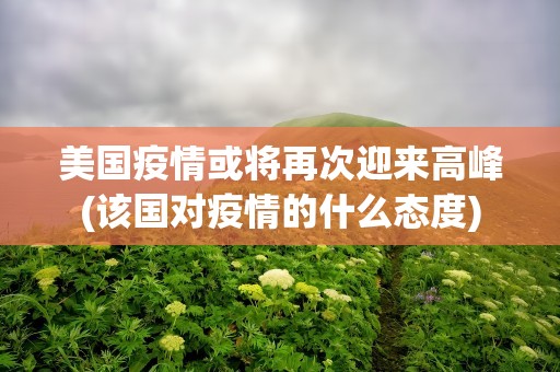 美国疫情或将再次迎来高峰(该国对疫情的什么态度)