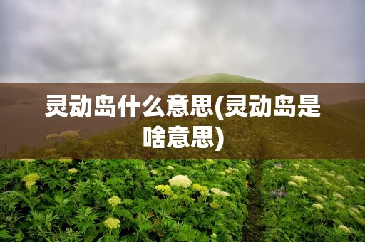 灵动岛什么意思(灵动岛是啥意思)
