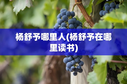 杨舒予哪里人(杨舒予在哪里读书)